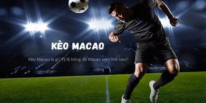 Đôi chút kiến thức về cược bóng Macao 