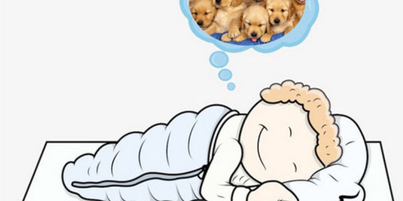 Giải mã chi tiết câu hỏi chó vào nhà đánh con gì