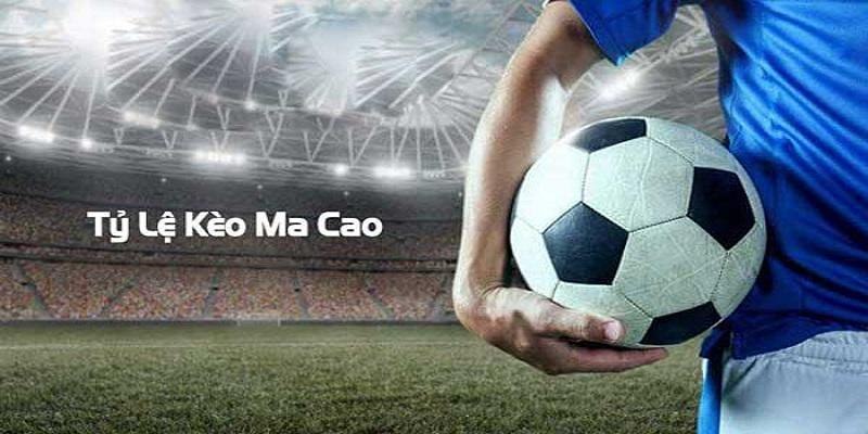 Luật chơi cược bóng đá cơ bản cần nắm