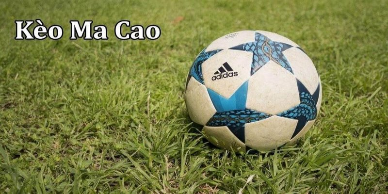 Mẹo soi kèo Macao chuẩn xác cao chủ