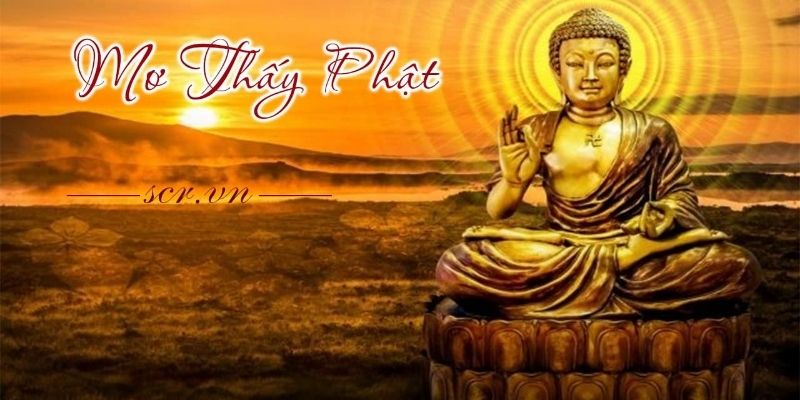 Mơ Thấy Bồ Tát Đánh Số Gì - Giải Mã Chính Xác Chiêm Bao