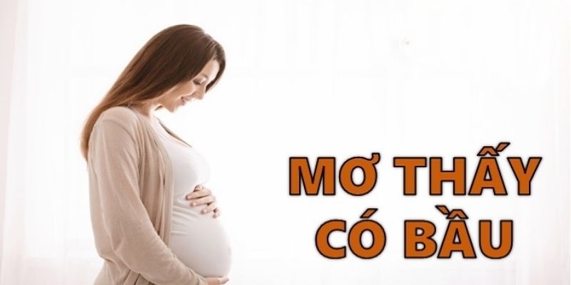Nằm Mơ Thấy Mình Có Bầu Đánh Số Mấy - Giải Mã Cho Bạn