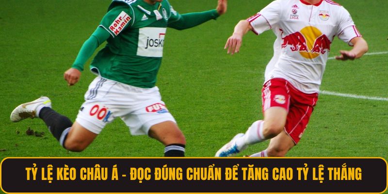 Tỷ Lệ Kèo Châu Á - Đọc Đúng Chuẩn Để Tăng Cao Tỷ Lệ Thắng