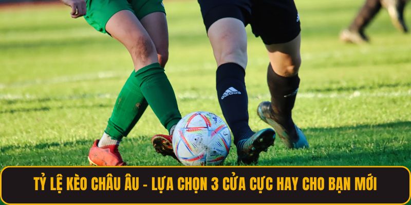 Tỷ Lệ Kèo Châu Âu - Lựa Chọn 3 Cửa Cực Hay Cho Bạn Mới