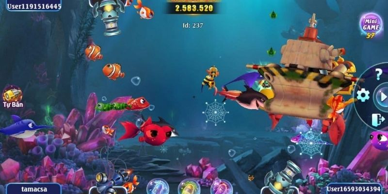 Phương pháp săn cá hải tặc cực hiệu quả