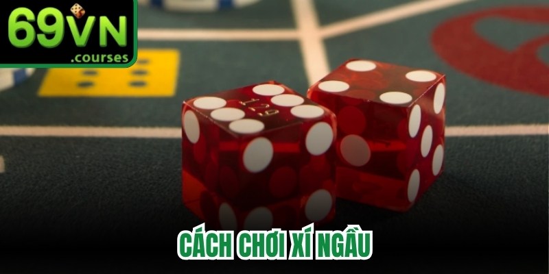 Cách Chơi Xì Ngầu