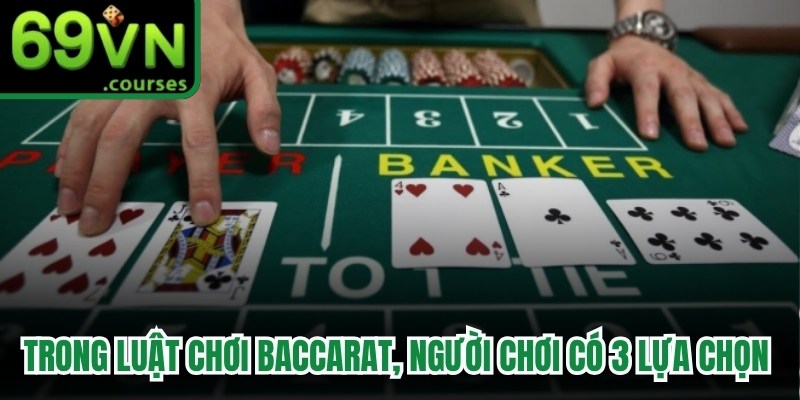 Trong luật chơi Baccarat, người chơi có 3 lựa chọn cơ bản