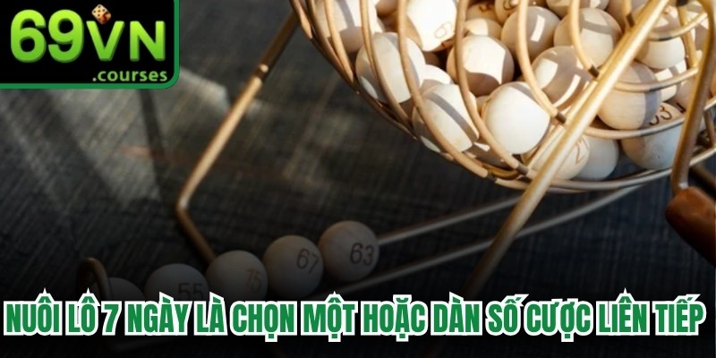 Nuôi lô 7 ngày là cách chọn một hoặc một dàn số cược liên tiếp trong một tuần 