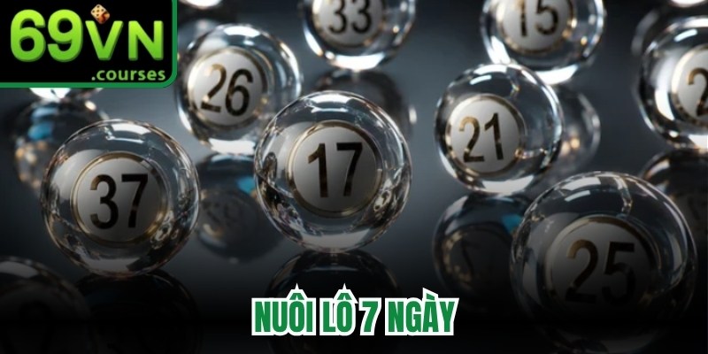 Nuôi Lô 7 Ngày